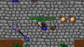 Tarc Sorcerer on screen