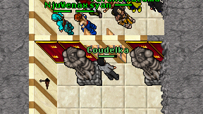 Coudelka on screen