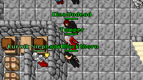 Tumper on screen