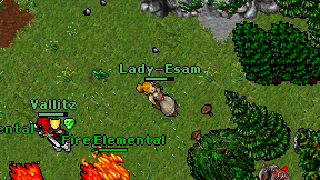 Lady-Esam on screen
