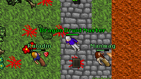 Dragon Druid Master on screen
