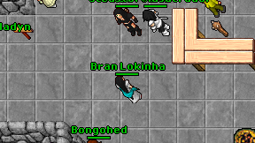 Bran Lokinha on screen