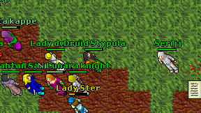 Druid Stypula on screen