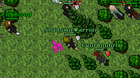 Shadown Warrior on screen