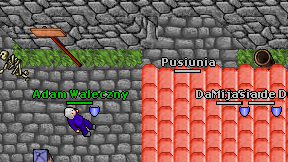 Pusiunia on screen