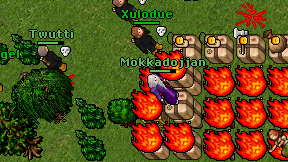 Mokkadojjan on screen