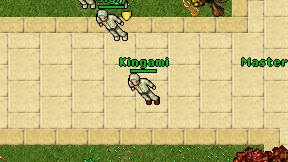 Kingami on screen