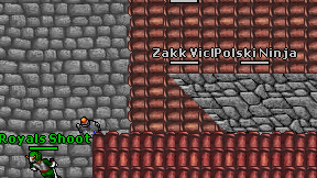 Polski Ninja on screen