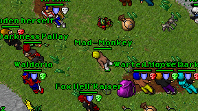 Mad-Monkey on screen