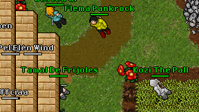 Flema Pankrock on screen