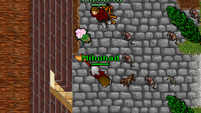 Mihuhad on screen