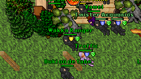 Wakka Ranger on screen