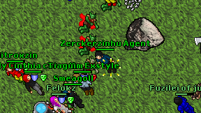 Zerckerzinhu Agent on screen