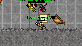 Lord Greyskull on screen