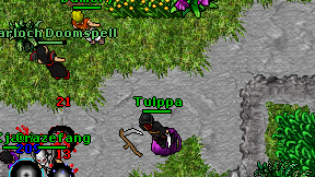 Tulppa on screen