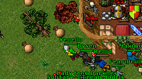 Venello on screen