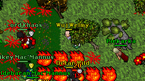 Wuj Welmy on screen