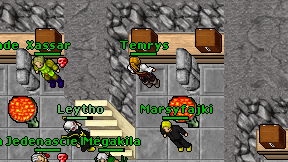 Temrys on screen