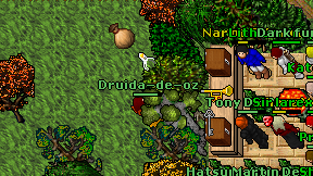 Druida-de-oz on screen