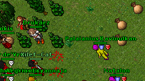 Drukarz on screen
