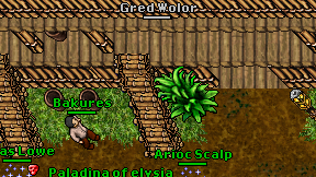 Gred Wolor on screen