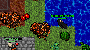 Dionebravo on screen
