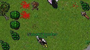 Nanaki'Hunter on screen