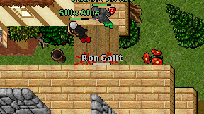 Ron Galit on screen