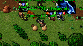 Angel of Taiger on screen