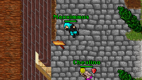 Maxximmus on screen