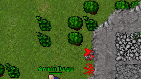 Armin Rogu on screen