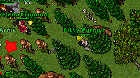 Kitty Warrior on screen