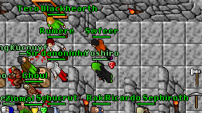 Swfeer on screen