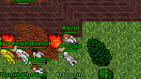 Dohipp on screen