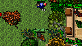 Jawulav on screen