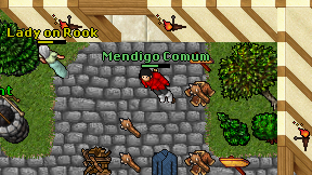 Mendigo Comum on screen