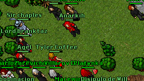 Anarkih on screen