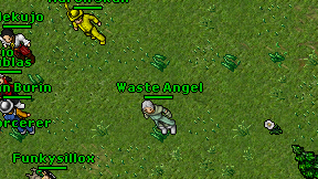 Waste Angel on screen
