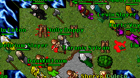 Mully Doppy on screen