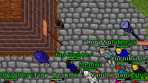 Flo Fighter on screen