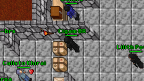 Cigam BR on screen