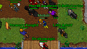Shibili on screen