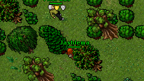 Jashlema on screen