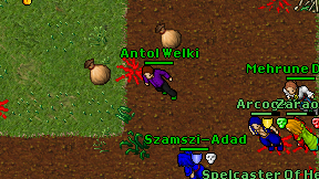 Antol Welki on screen