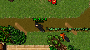Sieksik on screen
