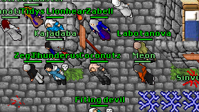 Coconutz on screen