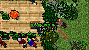 Ascarissuis on screen
