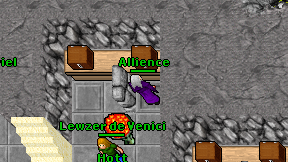 Allience on screen