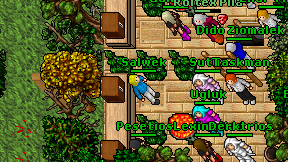 Salwek on screen