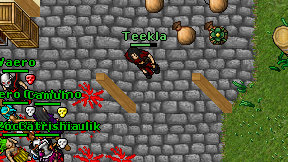 Teekla on screen